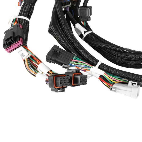 Ford Coyote Ti-VCT Capable HP EFI Kit, NTK O2
