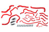 HPS Red Silicone Radiator + Heater Hose Kit 2016-2020 Honda Civic 1.5L Turbo 57-1608-RED