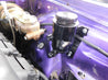 bhs590_09.jpg