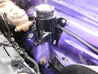 bhs590_11.jpg