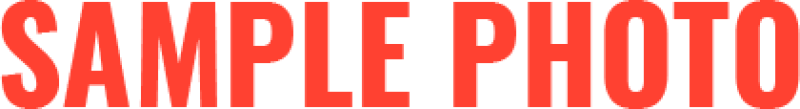 Open image lightbox