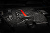 ms100257_008.jpg