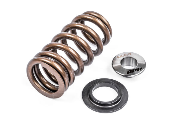 APR Valve Spring Kit (1 Set)