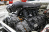 scamp_hi-ram_03.jpg