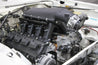 scamp_hi-ram_04.jpg