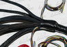 Gen 3 99-07 LS Vortec Engine Controller Kit - Drive By Cable W/ 4L60 ...