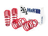 H&R 05-09 Ford Mustang/Convertible/GT/Shelby GT/Shelby GT-H V6/V8 Race Spring H&R