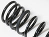 ICON 2008+ Toyota Land Cruiser 200 1.75in Dual Rate Rear Spring Kit ICON
