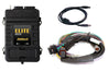 Haltech Elite 1500 Basic Universal Wire-In Harness ECU Kit Haltech