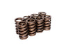 COMP Cams Valve Springs 1.250in Outer W/ COMP Cams