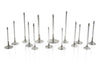 Ferrea Chevy BB 1.94in 3/8in 5.45in 0.225in 22 Deg Tulip Flo +.1 Comp Plus Exhaust Valve - Set of 8 Ferrea