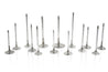 Ferrea Chevy SB 1.6in 11/32 6.090in 0.25in 20 Deg Canted Competition Plus Exhaust Valve - Set of 8 Ferrea