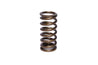 COMP Cams Valve Spring 1.025in Inner COMP Cams