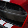 Ford Racing 20-21 Mustang GT500 Carbon Fiber Bumper Insert Ford Racing