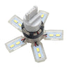 Oracle 7440 24 SMD 3 Chip Spider Bulb (Single) - Cool White ORACLE Lighting