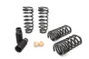 Eibach Pro-Kit for 11 Cadillac CTS-V Eibach