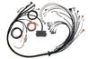 Haltech V8 Big/Small Block GM/Ford/Chrysler Elite 2000/2500 Terminated Harness w/EV1 Inj Connectors Haltech