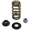 COMP Cams Valve Spring Kit 0.585in Lift Beehive 01-05 GM 6.6L Duramax Diesel (LB7/LLY) COMP Cams