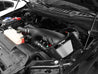 aFe MagnumFORCE Pro DRY S Stage-2 Intake System 16 Ford F-150 EcoBoost V6-2.7L/3.5L (tt) aFe