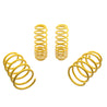 ST Sport-tech Lowering Springs Ford Mustang 5th gen. ST Suspensions