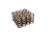 COMP Cams Valve Springs Ford 4.6L 2 Valve COMP Cams