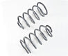 Belltech MUSCLE CAR SPRING SET 64-66 CHEVELLE MALIBU Belltech