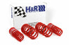 H&R 96-01 Audi A4 Quattro (AWD) B5 Race Spring H&R