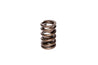 COMP Cams Valve Spring 1.250in Ovate Wir COMP Cams