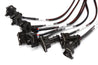 Haltech V8 Big/Small Block GM/Ford/Chrysler Elite 2000/2500 Terminated Harness w/EV1 Inj Connectors Haltech