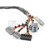 Rywire Honda B-Series Mil-Spec Eng Harness w/OBD2 Dist/Inj/Alt & OBD1 92-95 ECU Plugs (Adapter Req) Rywire