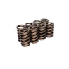 COMP Cams Valve Springs 1.250in Outer W/ COMP Cams