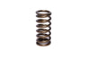 COMP Cams Valve Spring 0.960in Inner Re COMP Cams