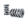 COMP Cams 1.301in OD Dual Springs 1.900in Installed Height (Set of 16) COMP Cams